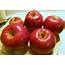 Ida Red Apples  Eat Like No One Else