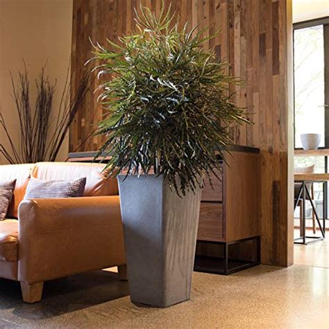 These 20 plants can add height outdoor rooms. Tall Planters 26 Inch Large Flower Pots Pack 2, Indoor and ...