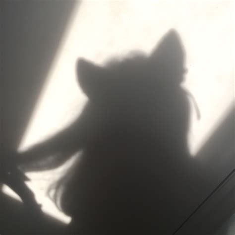 𝚖𝚊𝚍𝚎 𝚋𝚢 𝚌𝚑𝚊𝚛𝚕𝚞𝚑𝚝 𝚘𝚗 𝚒𝚐 𝚌𝚛𝚎𝚍𝚒𝚝 𝚒𝚏 𝚞 𝚛𝚎𝚙𝚘𝚜𝚝 ♥ Girl Shadow Shadow