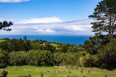 Looking for more real estate to buy? 9 hectare Farm Vacant Land For Sale | George Rural ...