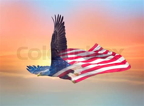 Double Exposure Effect Of North American Bald Eagle On American Flag