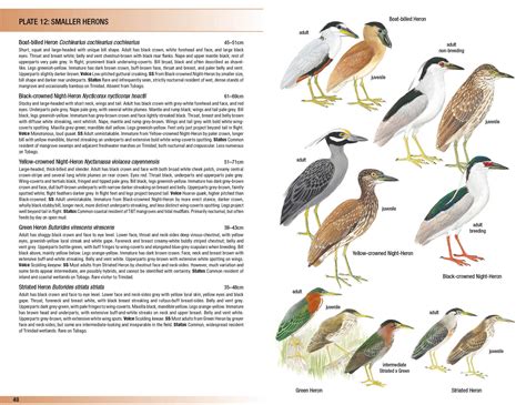 Birds Of Trinidad And Tobago Third Edition Helm Field Guides Martyn