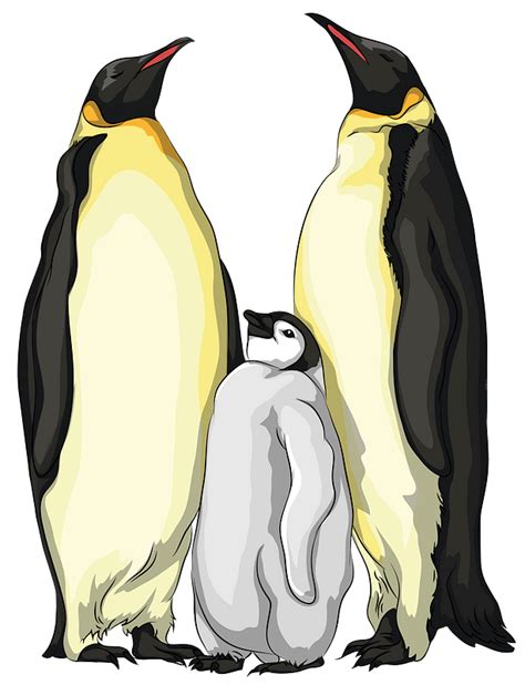 Penguin Png Clip Art Emperor Penguin Clipart Transparent Png Vhv