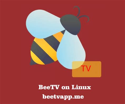 Beetv For Pc