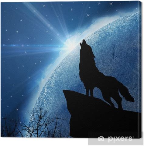 Die katzen kratzen im katzenkasten, im katzenkasten kratzen katzen. Leinwandbild Wolf in der Silhouette heulend auf dem ...