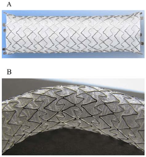 A And B The X Suit Nir Covered Biliary Metallic Stent Olympus