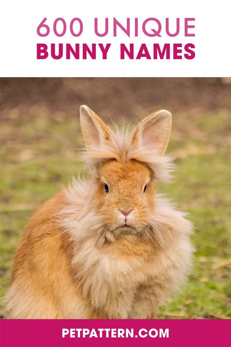 600 Unique Bunny Names Bunny Names Female Rabbit Names Female Pet Names