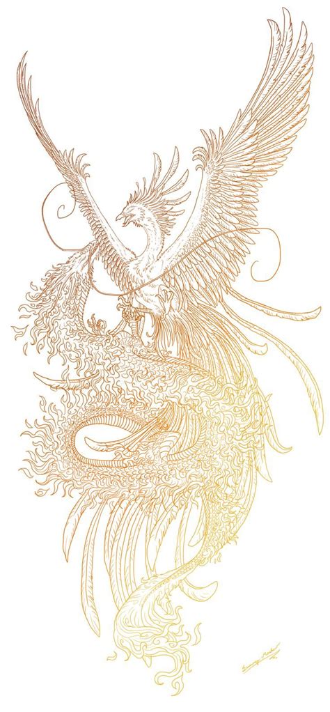Tattoo dragon and phoenix phoenix art phoenix tattoo sleeve. Phoenix und Dragon Lineart von Sunima.deviantart … auf ...