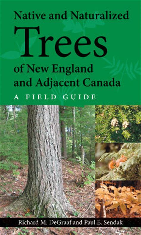 In london preparations for new years eve begin weeks in advance. UPNE - Native and Naturalized Trees of New England and ...