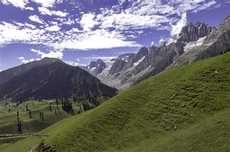 Beautiful Kashmir Landscape Lush Green Meadows And Mountains Of