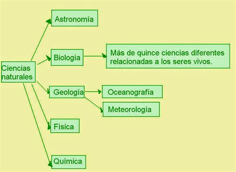 Ciencias Naturales Clasificacion De Las Ciencias Naturales