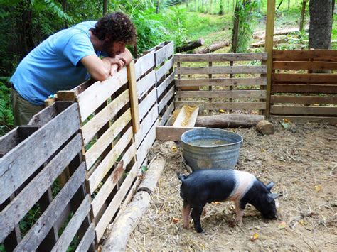 Our Pallet Pig Pen Best Tips For Success First Roots Farm Pig Pen