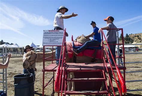 RJ reporter finds himself off to the camel races in Virginia City | Las Vegas Review-Journal