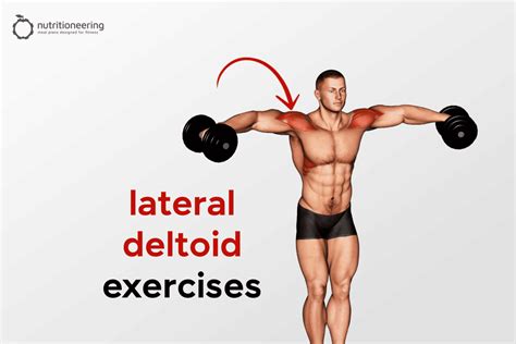 Best Lateral Deltoid Exercises For Broader Shoulders Workout