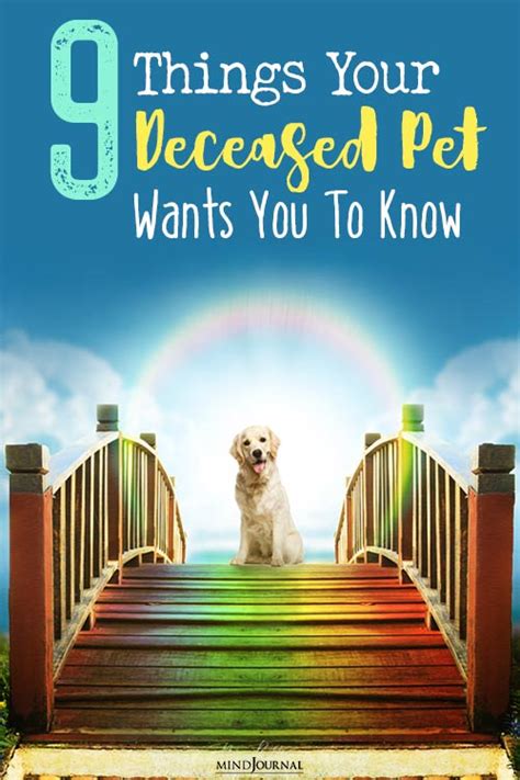 9 Things Your Deceased Pet Wants You To Know