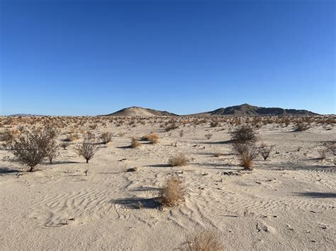 The Mojave Desert Land Trust Added 7000 Acres To Protected California