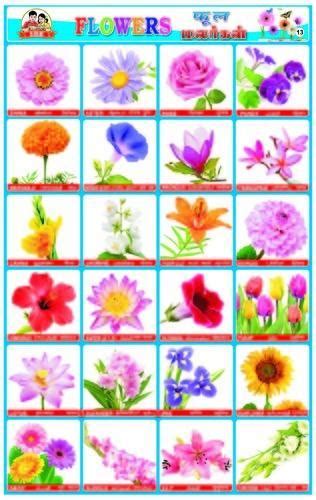 Ali 2 f english diminutive of alison , alexandra and other names beginning with the same sound. Flowers Names In Kannada Meaning - HD Image Flower and ...