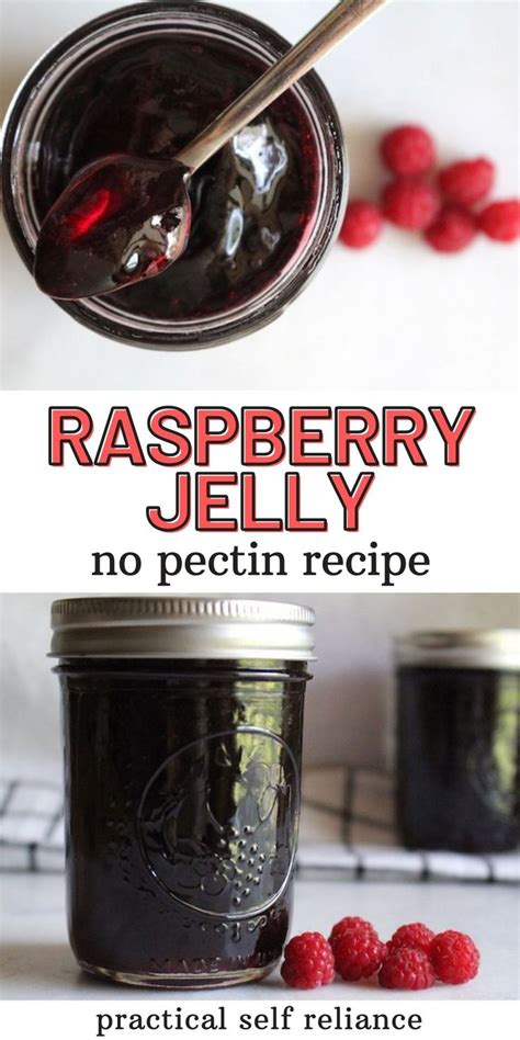Seedless Raspberry Jam Recipe No Pectin Bryont Blog