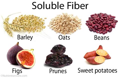Health Benefits Of Adding Fiber To Your Diet Beauty And Blush