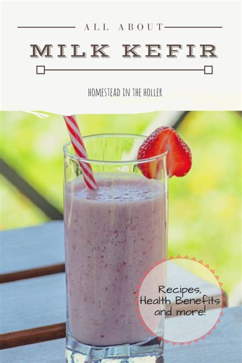 Milk Kefir Homestead In The Holler