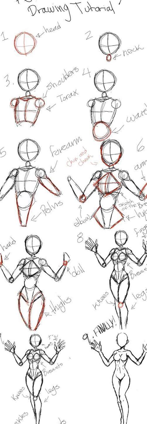 Weight, overlaps, and curves thethirdcartel 460 11 proportions: Pin on construct in 2020 | Body drawing tutorial, Human ...