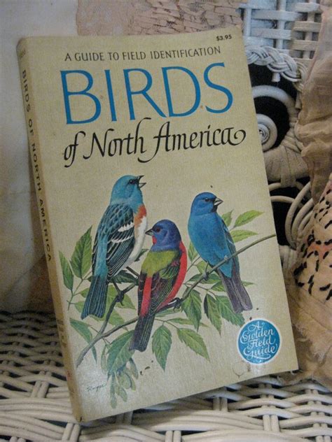 Vintage Birds Of North America Book Golden Press 1966