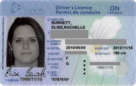 10 Drivers License Template Photoshop Template Monster
