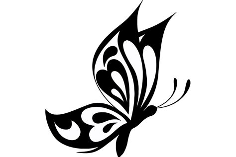 Butterfly Vector At Getdrawings Free Download