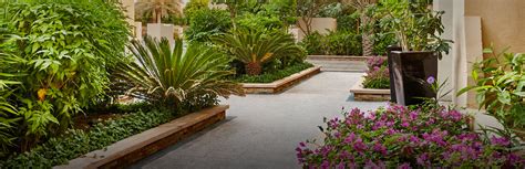 Luxury Garden Landscaping Dubai Fasci Garden