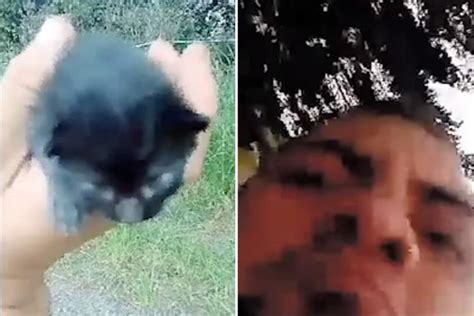 Thug Stomps Kitten To Death In Horror Video As The Tiny Cat