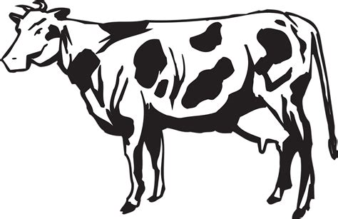 Vektor Sapi - Paimin Gambar