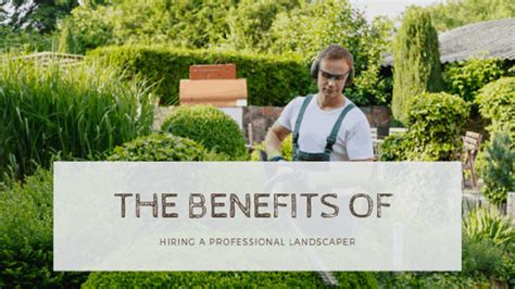 The Benefits Of Hiring A Professional Landscaper