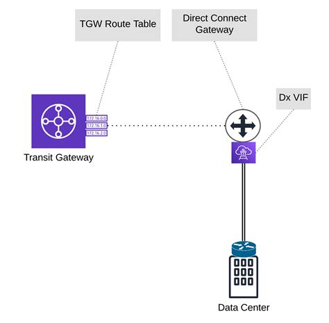 what is aws transit gateway tgw for direct connect dx aviatrix