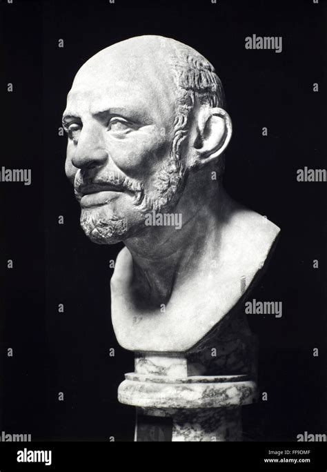 Democritus C460 C370 Bc Ngreek Philosopher Marble Bust Roman