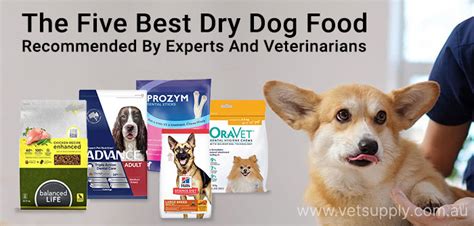 The Five Best Dry Dog Food Recommended By Experts And Veterinarians