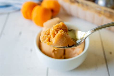 Apricot Sorbet Beyond The Chicken Coop