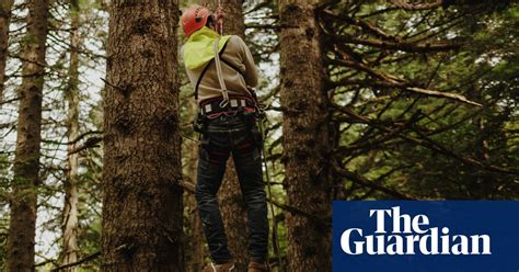 the underpaid georgian workers who risk their lives for your christmas tree employment the