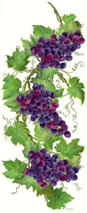 342 Best Grape Vine Art Images On Pinterest Grape Vines Drawings And
