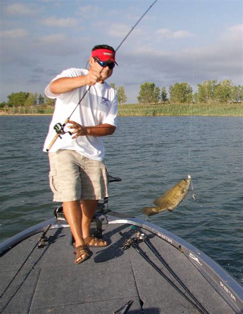 Wilson Lake Kansas Fishing Fima