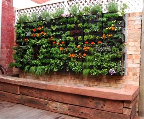 Growing Plants In Small Spaces Growing A Vegetable Garden
