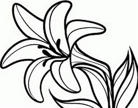 Dibujos Faciles De Flores De Cempasúchil Decorados Para Unas