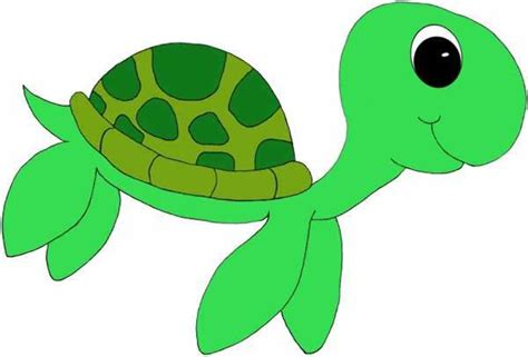 Download High Quality Turtle Clipart Baby Transparent Png Images Art