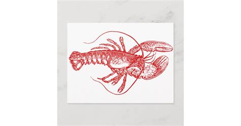 Lobster Postcard Zazzle