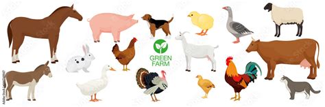 Farm Animals Collection Horse Dog Goat Donkey Pig Cat Cow Sheep