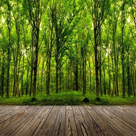 8x12ft Outdoor Green Trees Forest Woods Dark Wooden Plank