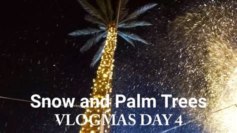 Snow And Palm Trees Vlogmas Day 4 Youtube