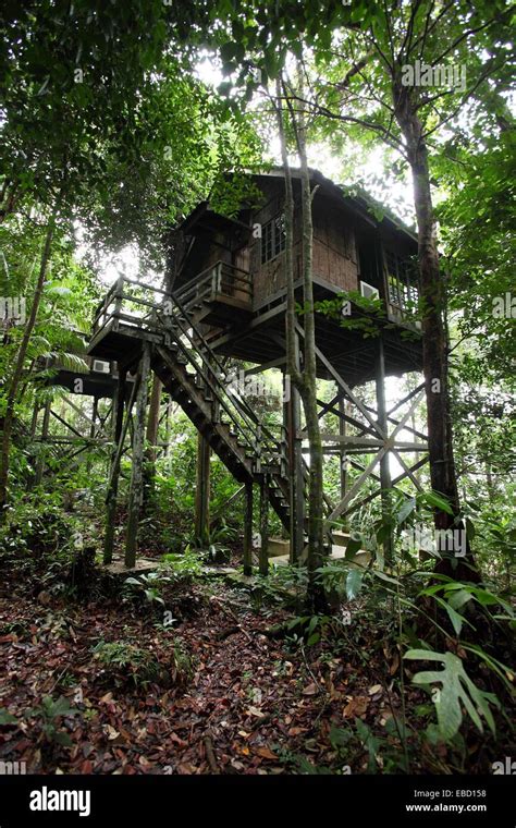 A Tree House Jungle House In Damai Rainforest Park Kuching Sarawak