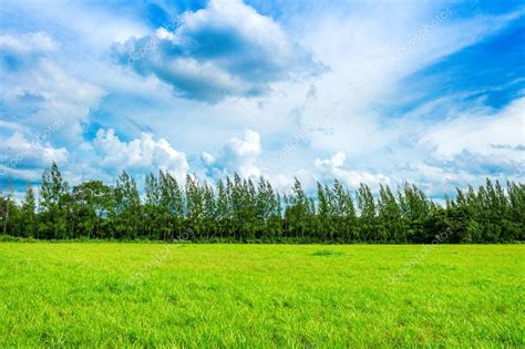 Background Sky And Grass Pic Green Grass Background Image Of Lush