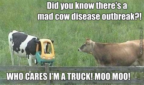 Mad Cow Memes Image Memes At