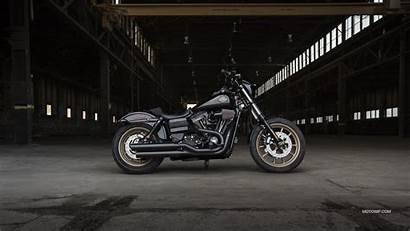 Harley Davidson Rider Dyna Low Wallpapers Desktop